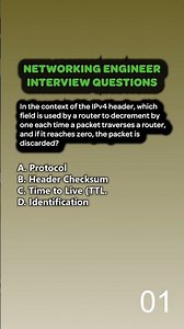 IPv4's Self Destruct Counter! 💥 #TTL #NetworkingBasics