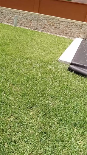 Marcel Rodriguez (@marcelrodriguez59)’s videos with sonido original - Marcel Rodriguez