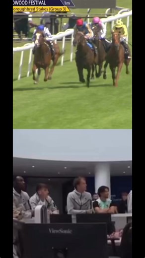 13K views · 150 reactions | Brighton & Hove Albion players, some of whom co-own Seagulls Eleven watching him win at last week’s Qatar Goodwood Festival ❤️ | Racing TV | Facebook