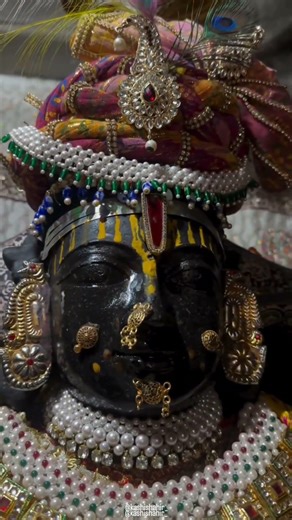 Day 27/365 Dwarkadhish Darshan 🙏 | Jai Shree Krishna | 365 Days Bhakti Challenge