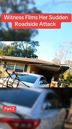 Witness Films Her Sudden Roadside Attack | Captain.us5