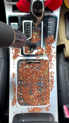 The Best Cordless Vacuum Cleaner for Effortless Cleaning