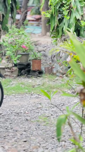 XRM 110 Convert to RS 125 Concept