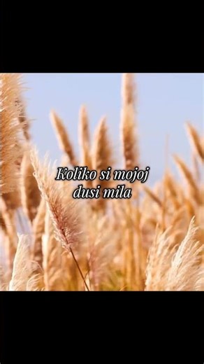 Alma Moja Dok Budes Slušala Tekst Dok Budes Slušala Melodiju.Znaćeš Da Toliko Ti Mene Znacis I Volim