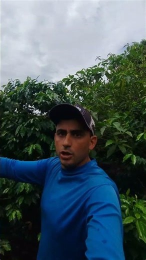 não tem idade pra planta café com 70 ano ele plan....#agro #cafe