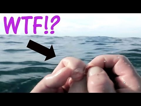 WTF IS HE DOING?!? | Drowning Simulator