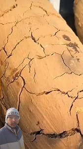 8.5K views · 33 reactions | Chicken is cooked in a strange way in China. First it is covered with soil. Quail paper is placed under it. Chicken is kept inside it. #fbpost2024 #2024trends #viralreels #fbreels #trendingreels #reelsfb #trendingreelsvideo #fypviral #fbviral #viralvideo | RKG Sir Vlogs | Facebook