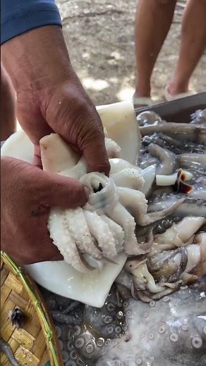 How to Clean Fresh Squid Step by Step | Beach Seafood Prep
