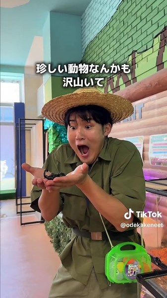 ☔梅雨に行くべき埼玉の室内スポット5選 雨でも全力で楽しめる場所、ぜんぶ埼玉にあります。 ①トランポランドSaitama 📍埼玉県新座市野火止3-13-35 ⏰平日12:00〜21:00 / 土日祝10:00〜20:00 💰60分1,800円〜 ※火曜定休（祝日の場合は水曜）／専用ソックス別途350円 ②SkyWalker7058 📍川越市泉町3-1 ウニクス南古谷1F ⏰平日13:00〜20:30 / 土日祝10:00〜20:30 💰大人 平日1,900円 / 土日祝2,100円 ※施設利用90分／最終入場回19:00 ③いきもの探検隊 上尾 📍上尾市緑丘3-3-11 P・A・P・A上尾プリンス棟1F ⏰10:00〜19:00 💰800円（2歳以下無料） ※不定期で第3火曜休み ④mipig cafe イオンレイクタウン店 📍越谷市レイクタウン4-2-2 イオンレイクタウンKAZE 1F ⏰10:00〜20:00 💰一般25分1,760円〜（要事前WEB予約） ⑤SKIPシティ 映像ミュージアム 📍川口市上青木3-12-63 ⏰9:30〜17:00（入館16:30ま