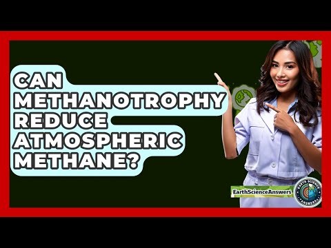 Can Methanotrophy Reduce Atmospheric Methane? - Earth Science Answers