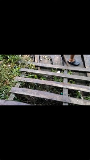 Remju Aboy Amom on Reels