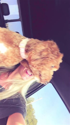 tateee (@the.sweet.life.of.tate)’s videos with I Like The Sound Of That - Rascal Flatts