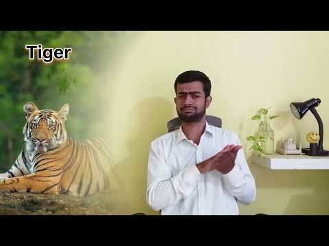 Tiger | Facts | Indian Sign Language | ISL |