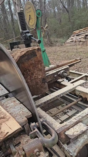 Lets see what this gum is hiding inside #sawmill #lumber #forestry #fyp #fypシ