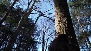 This week on Fly Rod Chronicles... Curtis and his family do a little cast and blast right here in his home state of Wild and Wonderful, West Virginia! #LifeOnTheFly | Fly Rod Chronicles with Curtis Fleming