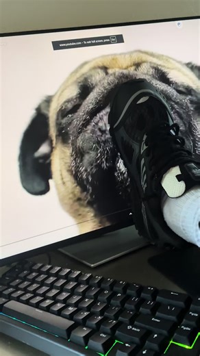 Bottegasss Christmas Slideshow