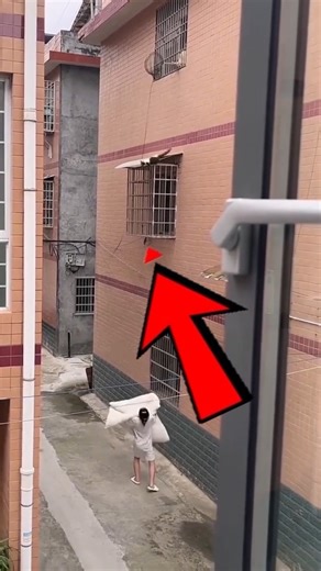 veelu cat ni save chesaru 😱 #shorts #telugu