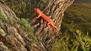 3D Environment   Newt Project