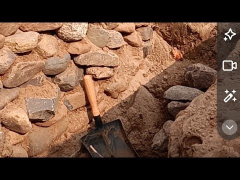 shelter cooking is live! Underground Building Survival Forest Cooking Videos Bushcraft House