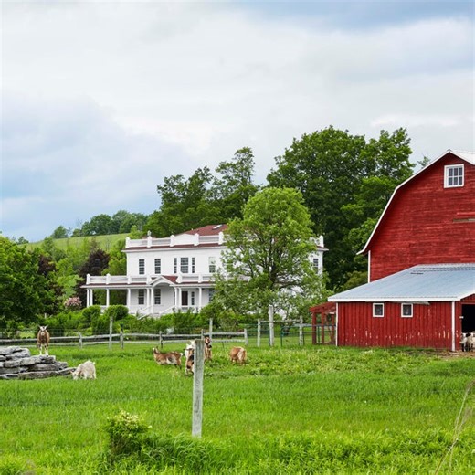 Country Life - Home and Family Life