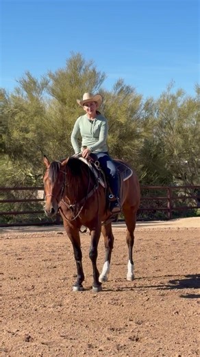 Essential Tips for Successful Ranch Riding Training