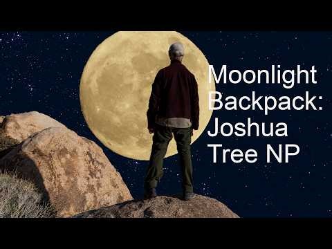 Boy Scout Trail Backpack