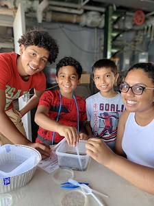 Junior Scientist Internships