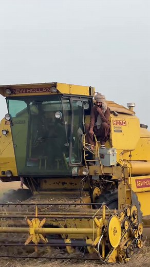 Golden Days: New Holland 8070 & Claas 8070 Harvest