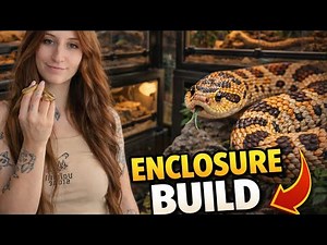 Building My Hognose Snake’s New Enclosure 🐍✨