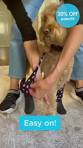 Get 20% off with code PROTECT20. Regular dog boots fall off. Walkee Paws stay on. Designed with connected suspenders, flexible waterproof soles, and an adjustable fit, they never slip off while keeping paws protected. Great for keeping your pup safe outside and your floors clean inside! Loved by 2,000 dogs and their parents — and as seen on Shark Tank. Shop Walkee Paws today to enjoy worry-free walks. | Walkee Paws