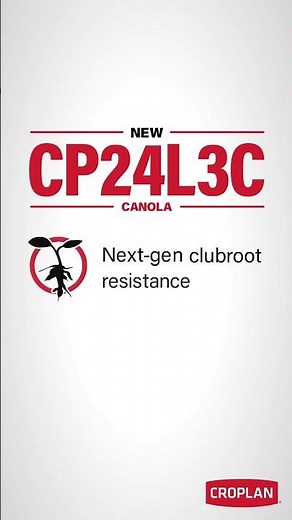 WinField CROPLAN Canola - 2025 - Vertical