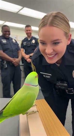 When a parrot cares more than people expect 🥺🦜#parrot #talkingparot #youtubeshorts #funny #shorts