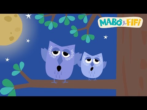 Sleeping with the owls, Mabo and Fifi | Lullabies