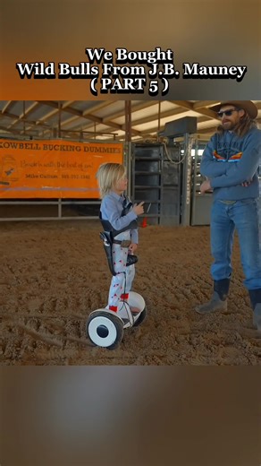 Buying Wild Bulls from J.B. Mauney: A Unique Experience