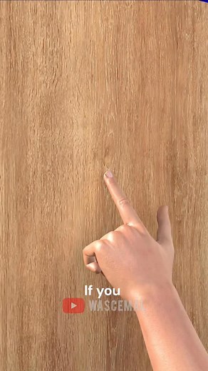 6.5K views · 32 reactions | This is what will happen if you get a splinter stuck #usa #newyork #america #canada #losangeles #unitedstates #europe | Wascemal | Facebook