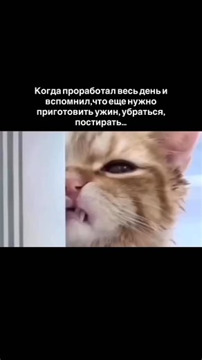 КЛИНИНГ | Химчистка мягкой МЕБЕЛИ и КОВРОВ | ЯКУТСК on Instagram: "Иногда нужно остановиться и дать себе время на отдых 🌿 Забота о себе любимой начинается именно с таких маленьких пауз 💛"