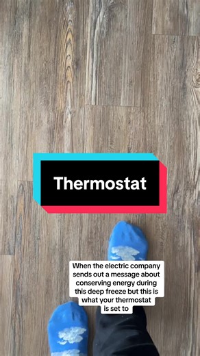 Just a girl who likes it cold #cold #deep #freeze #thermostat #electric