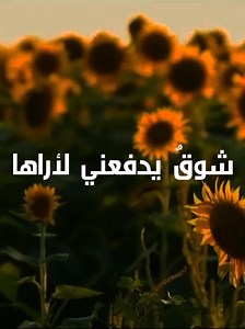 أنا واخي – أغاني سبيستون جزء 6 | شوق يدفعني لأراها