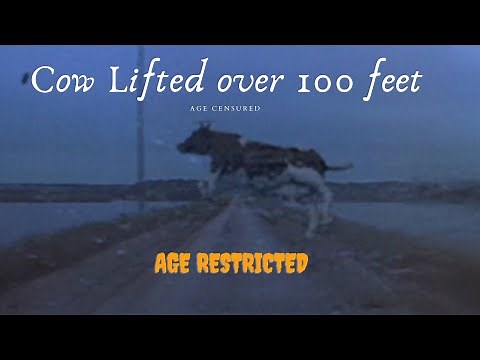 Tornado damage Lifts Cows off Ground