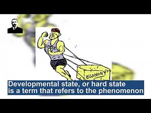 Developmental State | TOP+