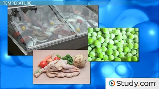 Rate of Reaction | Definition, Factors & Formula