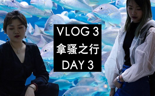 【黑黑VLOG3】如梦似幻！天堂岛Atlantis世界最大的室外水族馆！
