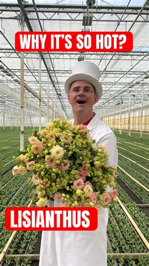 Why #Lisianthus Loves Heat | Floristry Explained with Dr van Bloom
