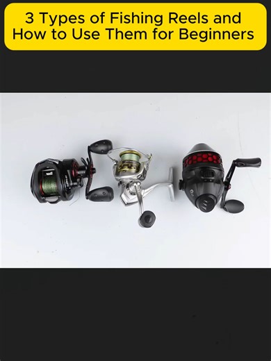 3 Types of Fishing Reels and How to Use Them for Beginners - Spinning vs. Spincast vs. Baitcasting #fishing #fyp #viaral #bait