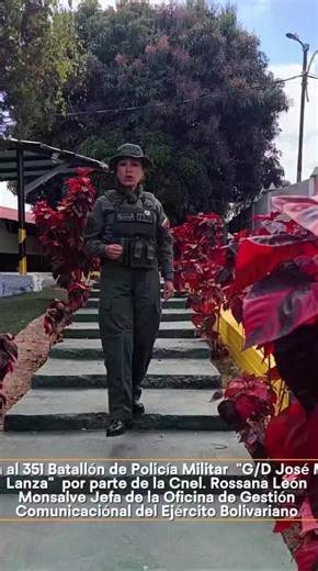 @integradosparavencer @ejbcerecose