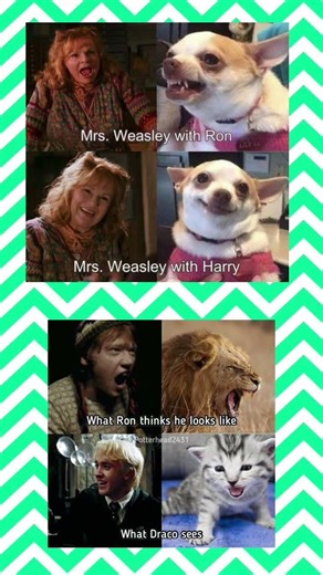 HarryPotter meme world-“Mrs. Weasley’s Mood Switch & Ron’s Reality 😂🐶🦁🐱” #memes #shorts #harrypotter