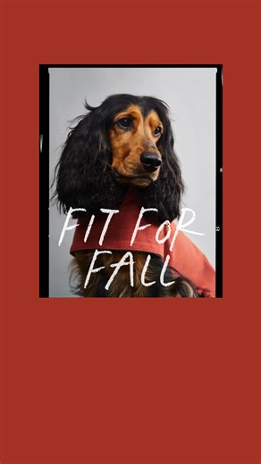 Lightweight, warm, ready for any weather. For everything autumn walks have in store. | Cloud7