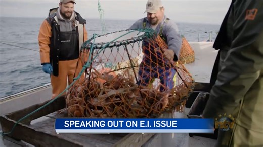 More voices calling on Ottawa to reverse EI criteria changes - NTV: Newfoundland and Labrador's Most Trusted News Source