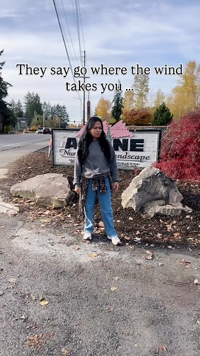 15 reactions | The wind always has me finding myself at my favorite local business, at the register, taking home a new plant. How crazy? Where do you all end up when the wind takes you places? | Alpine Nursery & Landscape | Facebook