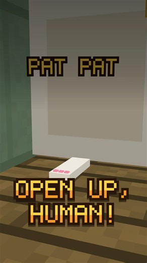 Why your cat meows at every closed door #shorts